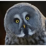 Dave Hand - @dave_hand_photograghy - Instagram