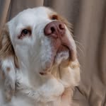 Dave Hand - @dave.hand.14 - Instagram