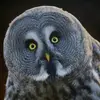 David Hand - @davehand_photography - TikTok