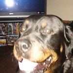 Dave Handley - @handley_dave - Instagram