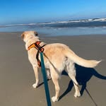 Dave Handy - @sascodave59 - Instagram