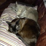 @davehanger81 - Instagram
