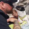 Dave Hanks - @davehanks - TikTok