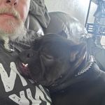 David Hanks - @gaijindave - Instagram