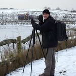 David Harbison - @davidharbisoncreativesolutions - Instagram