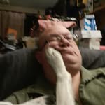Dave Harbour - @herbybandit - Instagram