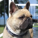 Dave Hardesty - @davehardesty - Instagram