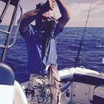 Dave Hardie - @hardie.dave - Instagram
