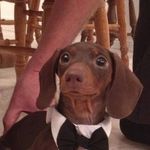 Dave Hare - @dave.hare1 - Instagram