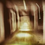 Dave Hare - @shootfirstcreative - Instagram