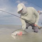 Dave Harker - @dhark1516 - Instagram