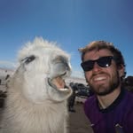 Dave Harmer - @davemcharmer - Instagram