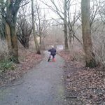Dave Harms - @harms.dave - Instagram