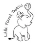DaVee Harned - @littlepeanutpastries - TikTok