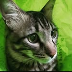 Dave Harold Tiwana - @daveharoldtiwana - Instagram