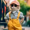 daveharry357 - @official_daveharry007 - TikTok