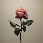 dave hart - @dave_harted - Instagram