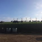 Dave Harte - @dave.harte - Instagram