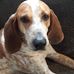 Dave Harwood - Facebook