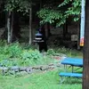 davehaskell1 - @davehaskell1 - TikTok