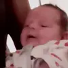 davehassens - @davehassens - TikTok