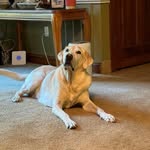 Dave Hatcher - @dave.hatcher.123829 - Instagram
