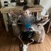 Dave Haught - Facebook