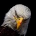 David Haun - Facebook