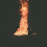 dave haus - @hausdave - Instagram