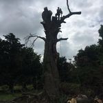 Dave Hunten Hawes - @dave.h.hawes - Instagram