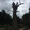Dave Hunten Hawes - @dave.hunten.hawes - TikTok