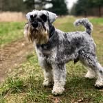 Dave Hawker - @davehawker99 - Instagram