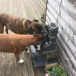 Dave Hawker - @hawkerdave - Instagram