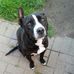Dave Healy - Facebook