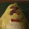 davehealy_ - @davehealy_ - TikTok