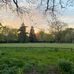 Dave Harvey Garden and Hedge Services - Facebook