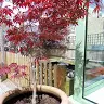Dave Hedges - @dave.s.hedges - TikTok