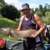 Dave Hedges - @dave.hedges - TikTok