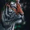 Dave Hensley - @dave.hensley73 - TikTok