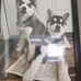 Dave Herrick - Facebook