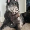 daveherron590 - @daveherron590 - TikTok