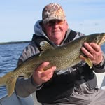 Dave Hillman - @hillmandave1 - Instagram