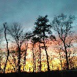 Dave Hines - @dave_the_goliath - Instagram