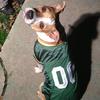 davehines832 - @davehines832 - TikTok