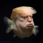 Dave Hoffer - @dave.hoffer.714 - Instagram