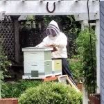Dave's Honey Farm - @daveshoneyfarm - Instagram