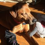 Dave Horner - @davehorner603 - Instagram