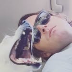 Dave  Hough - @davidmhough - Instagram