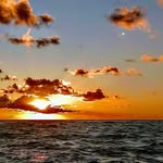 dave howell - @pirate71st - Instagram