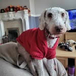 Dave Howell - @azrael1968 - Instagram